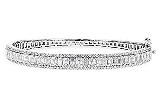 F310-29072: BANGLE 4.19 E.C. 5.30 TW